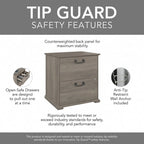 Two-Drawer Accent Cabinet